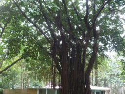 Visite de la petite cousine !